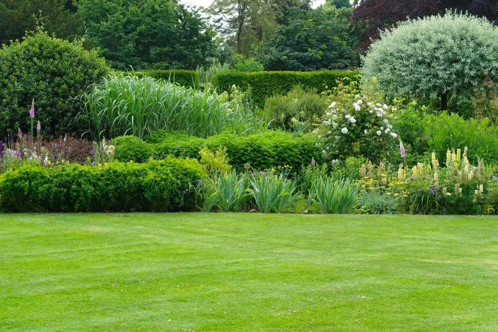 Manicured lawn and planting in an established garden