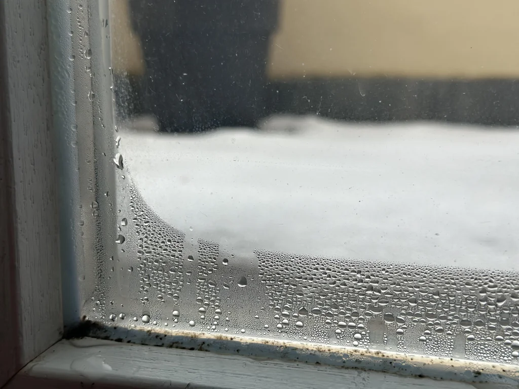 Condensation Damp on a window pane inside a property.