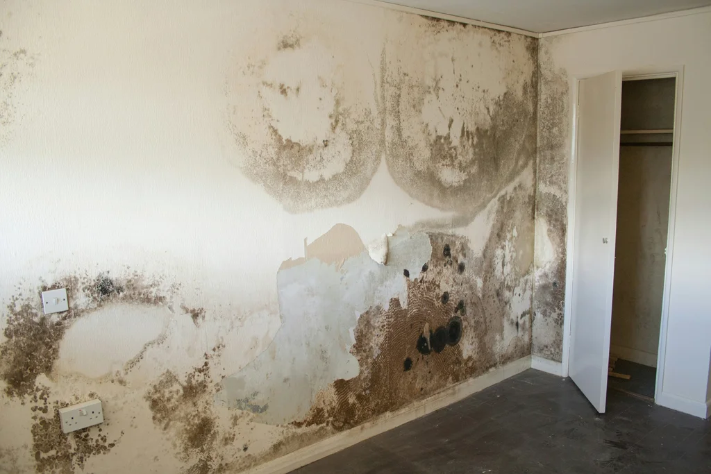 A case of Penetrating Damp in a bedroom